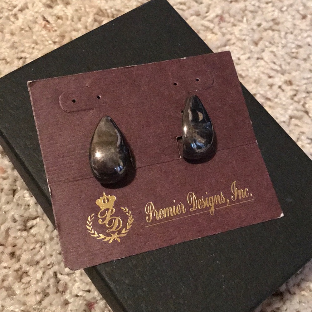 NWT Premier Designs Black stone earrings